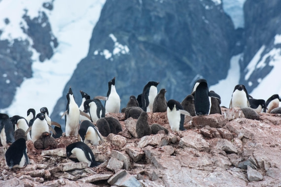 OTL27-25, Day 5, _DSC4860 © Hana Spickova - Oceanwide Expeditions.jpg