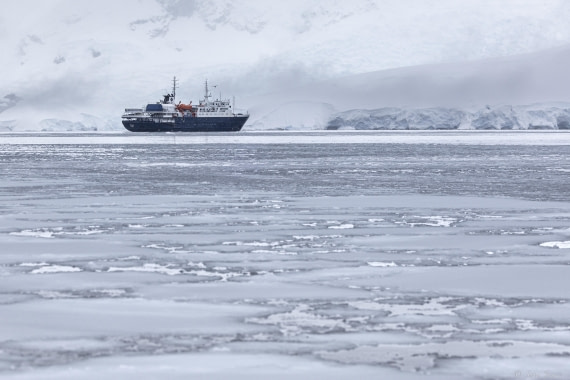 OTL27-25, Day 6, Foyn Harbour © Sara Jenner - Oceanwide Expeditions.jpg