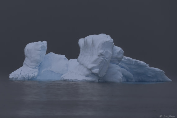 OTL27-25, Day 6, Iceberg at Foyn © Sara Jenner - Oceanwide Expeditions.jpg