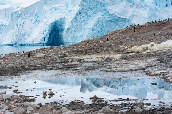 OTL27-25, Day 7, _DSC4904 © Hana Spickova - Oceanwide Expeditions.jpg