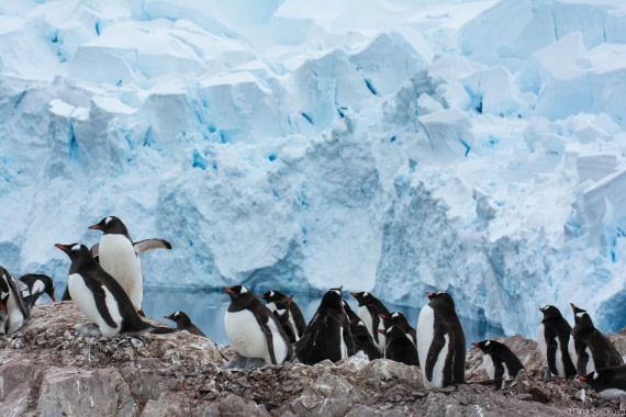 OTL27-25, Day 7, _DSC4928 © Hana Spickova - Oceanwide Expeditions.jpg