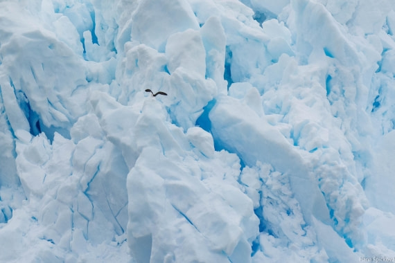 OTL27-25, Day 7, _DSC4940 © Hana Spickova - Oceanwide Expeditions.jpg