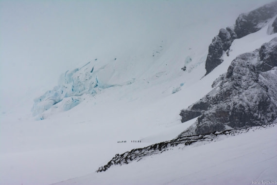 OTL27-25, Day 8, _DSC4967 © Hana Spickova - Oceanwide Expeditions.jpg