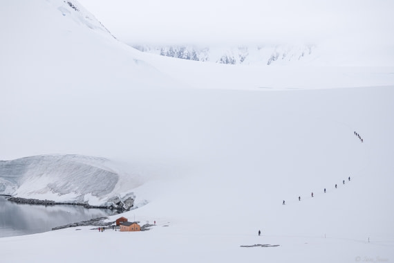 OTL27-25, Day 9, Damoy Point 2 © Sara Jenner - Oceanwide Expeditions.jpg