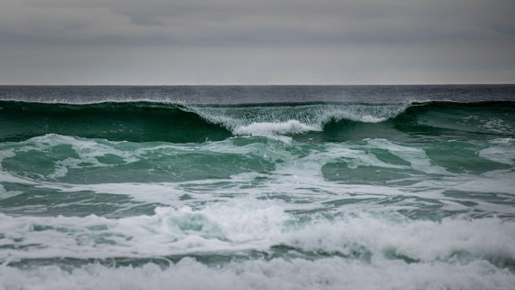HDS26-25, Day 3, RLO_0898 © Alexander Romanovskiy - Oceanwide Expeditions.jpg