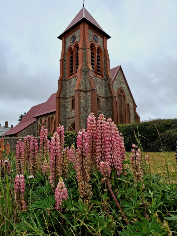 HDS26-25, Day 4, 20250107_091839 © Unknown photographer - Oceanwide Expeditions.jpg