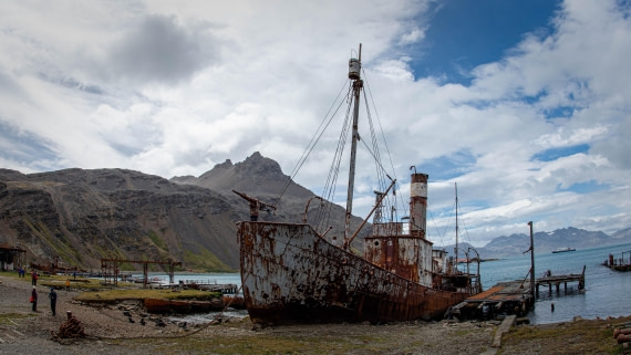HDS26-25, Day 7, PAZ_9395 © Alexander Romanovskiy - Oceanwide Expeditions.jpg