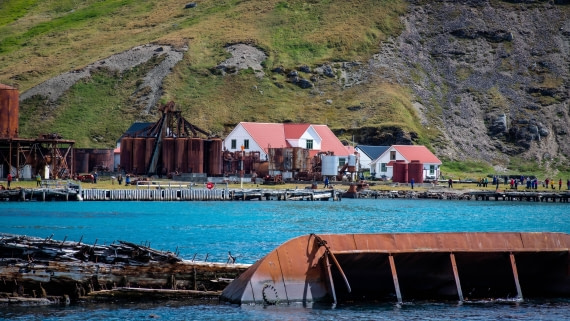 HDS26-25, Day 7, RLO_0993 © Alexander Romanovskiy - Oceanwide Expeditions.jpg