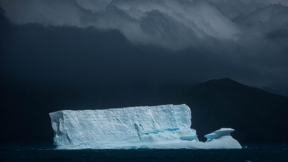 HDS26-25, Day 7, RLO_1011 © Alexander Romanovskiy - Oceanwide Expeditions.jpg