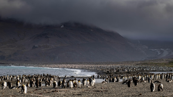 HDS26-25, Day 7, RLO_1045 © Alexander Romanovskiy - Oceanwide Expeditions.jpg