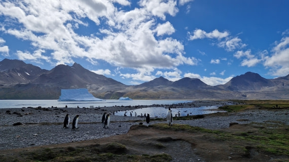 HDS26-25, Day 8, 20250111_085151 © Unknown photographer - Oceanwide Expeditions.jpg