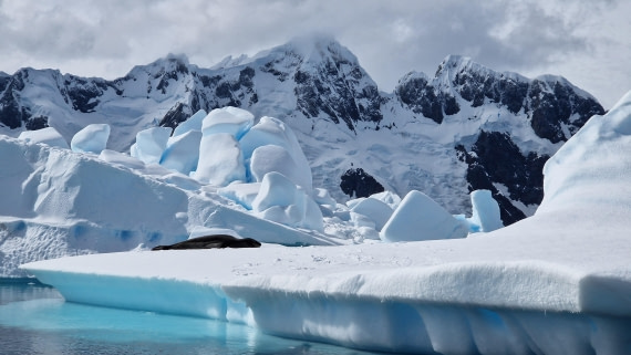 HDS26-25, Day 14, 20250117_110004 © Unknown photographer - Oceanwide Expeditions.jpg