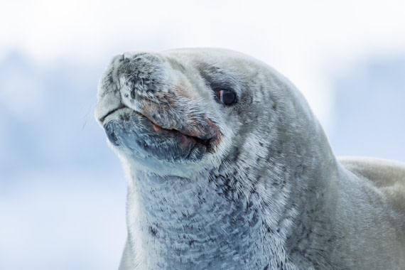 HDS26-25, Day 16, FZ1A2466 © Unknown photographer - Oceanwide Expeditions.jpg