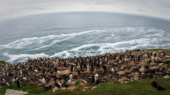 HDS26-25, Day 3, PAZ_9357 © Alexander Romanovskiy - Oceanwide Expeditions.jpg