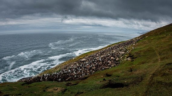 HDS26-25, Day 3, PAZ_9358 © Alexander Romanovskiy - Oceanwide Expeditions.jpg