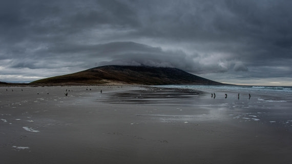 HDS26-25, Day 3, PAZ_9362 © Alexander Romanovskiy - Oceanwide Expeditions.jpg