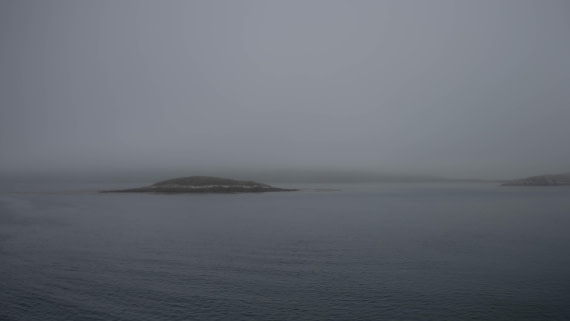 HDS26-25, Day 3, RLO_0560 © Alexander Romanovskiy - Oceanwide Expeditions.jpg