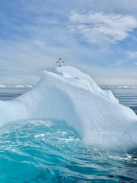 King of the mountain!!