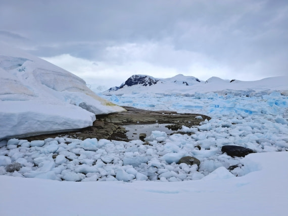 HDS27-25, Day 7, 20250128_152226 © Unknown photographer - Oceanwide Expeditions.jpg