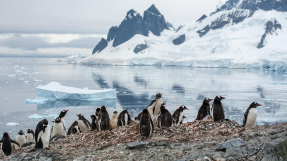 HDS27-25, Day 4, _DSC9207 © Unknown photographer - Oceanwide Expeditions.jpg