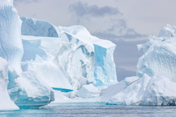 HDS27-25, Day 5, FZ1A2591 © Unknown photographer - Oceanwide Expeditions.jpg