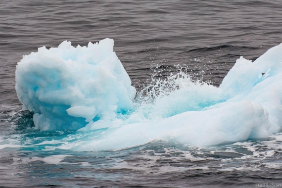 OTL28-25, Day 3, _DSC5310 © Hana Spickova - Oceanwide Expeditions.jpg