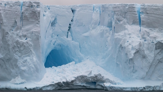 OTL28-25, Day 3, IMG_6493 © Unknown photographer - Oceanwide Expeditions.jpg