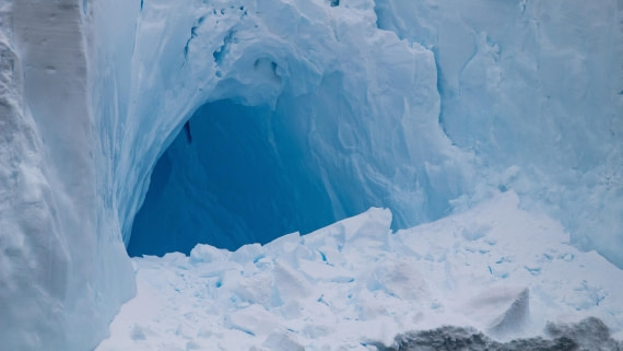 OTL28-25, Day 3, IMG_6494 © Unknown photographer - Oceanwide Expeditions.jpg