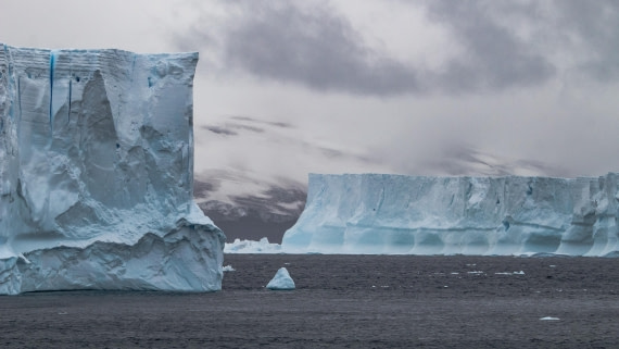 OTL28-25, Day 3, IMG_6495 © Unknown photographer - Oceanwide Expeditions.jpg