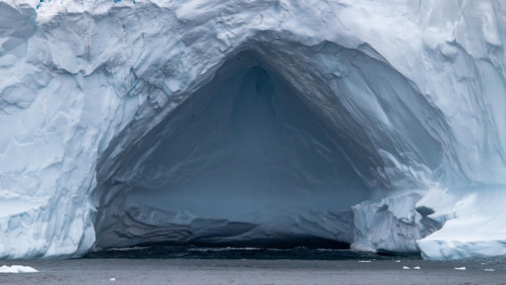 OTL28-25, Day 3, IMG_6498 © Unknown photographer - Oceanwide Expeditions.jpg