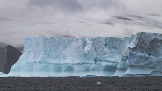 OTL28-25, Day 3, IMG_6499 © Unknown photographer - Oceanwide Expeditions.jpg