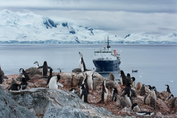 OTL28-25, Day 4, _DSC5346 © Hana Spickova - Oceanwide Expeditions.jpg