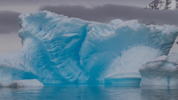 OTL28-25, Day 4, IMG_6614 © Unknown photographer - Oceanwide Expeditions.jpg