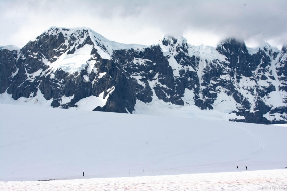 OTL28-25, Day 5, _DSC5548 © Hana Spickova - Oceanwide Expeditions.jpg