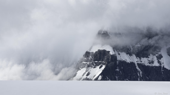 OTL28-25, Day 5, Damoy 5 © Sara Jenner - Oceanwide Expeditions.jpg