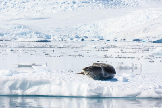 OTL28-25, Day 6, _DSC5671 © Hana Spickova - Oceanwide Expeditions.jpg