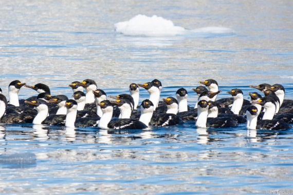 OTL28-25, Day 6, _DSC5697 © Hana Spickova - Oceanwide Expeditions.jpg