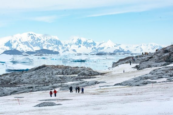 OTL28-25, Day 6, _DSC5713 © Hana Spickova - Oceanwide Expeditions.jpg