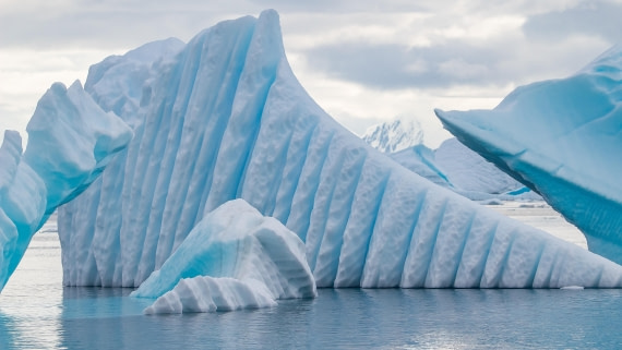 OTL28-25, Day 6, IMG_6792 © Unknown photographer - Oceanwide Expeditions.jpg