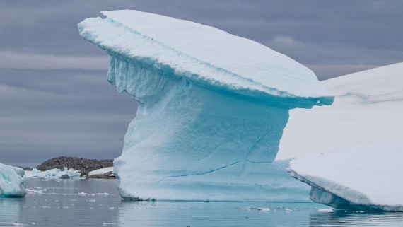 OTL28-25, Day 6, IMG_6795 © Unknown photographer - Oceanwide Expeditions.jpg