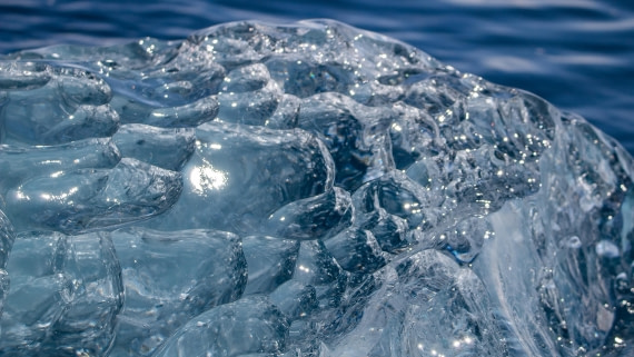 OTL28-25, Day 6, IMG_6923 © Unknown photographer - Oceanwide Expeditions.jpg