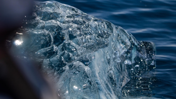 OTL28-25, Day 6, IMG_6924 © Unknown photographer - Oceanwide Expeditions.jpg