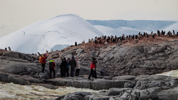 OTL28-25, Day 6, IMG_6943 © Koen Jongerling - Oceanwide Expeditions.jpg