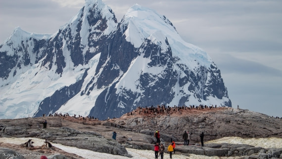 OTL28-25, Day 6, IMG_6945 © Koen Jongerling - Oceanwide Expeditions.jpg