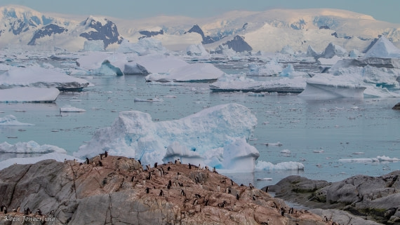 OTL28-25, Day 6, IMG_6964 © Koen Jongerling - Oceanwide Expeditions.jpg