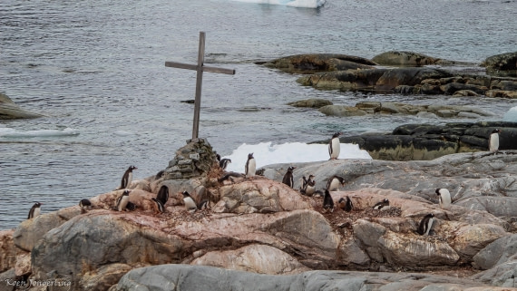 OTL28-25, Day 6, IMG_6967 © Koen Jongerling - Oceanwide Expeditions.jpg