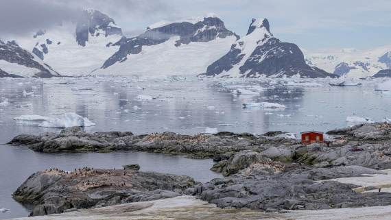 OTL28-25, Day 6, Petermann Island 1 © Sara Jenner - Oceanwide Expeditions.jpg