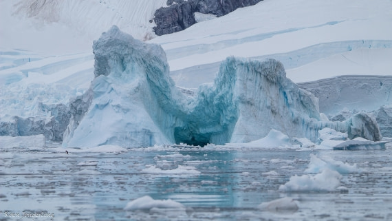 OTL28-25, Day 7, IMG_7050 © Koen Jongerling - Oceanwide Expeditions.jpg