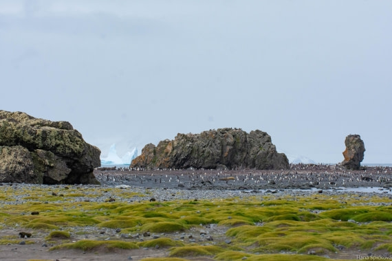 OTL28-25, Day 8, _DSC6178 © Hana Spickova - Oceanwide Expeditions.jpg