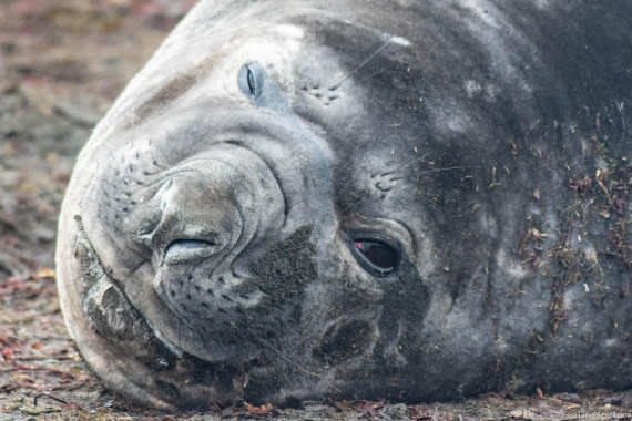 OTL28-25, Day 8, _DSC6239 © Hana Spickova - Oceanwide Expeditions.jpg